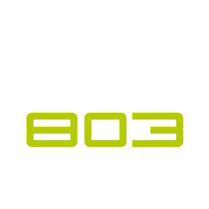 Logo-803